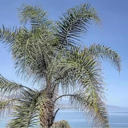 Cap Azur Bord De Roquebrune-Cap-Martin
